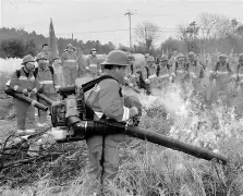 关于风云突变!迈阿密热火今晚临场应变,社区盾版图或变,目标明确,高层口径保持一致的信息 关于风云突变!迈阿密热火今晚临场应变,社区盾版图或变,目标明确,高层口径保持一致的信息